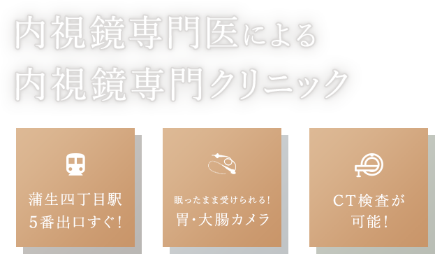 内視鏡専門医による内視鏡専門クリニック 蒲生四丁目駅5番出口すぐ！/眠ったまま受けられる！胃・大腸カメラ/CT検査が可能！