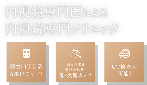 内視鏡専門医による内視鏡専門クリニック 蒲生四丁目駅5番出口すぐ！/眠ったまま受けられる！胃・大腸カメラ/CT検査が可能！